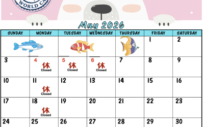 May＊5月